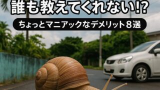 🌀沖縄移住の“誰も教えてくれない”デメリット8選