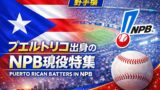 日本プロ野球で活躍したプエルトリコ出身野手まとめ｜NPBベストプレーヤーは誰？