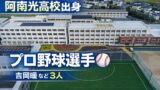 阿南光高校出身のプロ野球選手一覧【2026年完全版】吉岡暖など3人