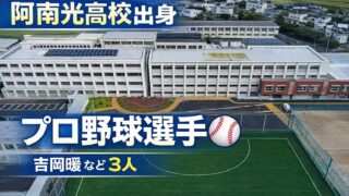 阿南光高校出身のプロ野球選手一覧【2026年完全版】吉岡暖など3人