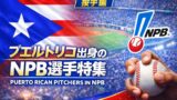 日本プロ野球で活躍したプエルトリコ出身投手まとめ｜NPBベストピッチャーは誰？